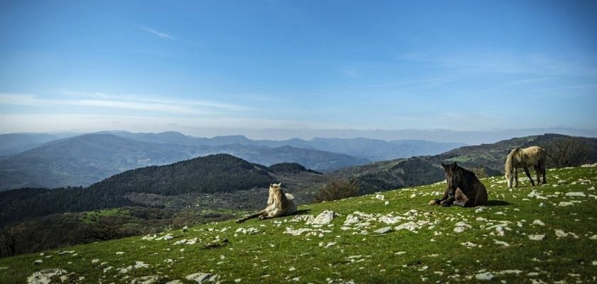 Via della Lana e della Seta